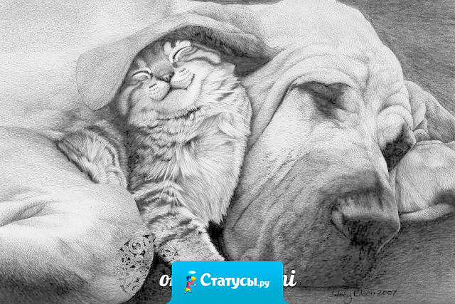 Когда люди понимают, что нравятся друг другу – начинается молчание.