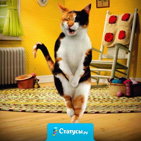 Простуда и кашель при сильном морозе. Поверьте-еще не беда.  Гораздо страшнее понос при склерозе Бежишь и не помнишь куда.