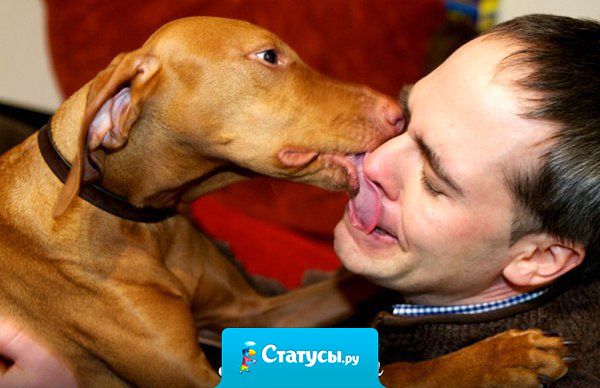 Молодой сосед , как выпьет, целуется с моей собакой.  Сегодня предложил подарить ей машину.