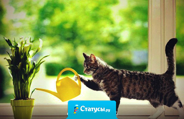 Поливала цветок 5 лет. Сегодня мама сказала, что это пластик.