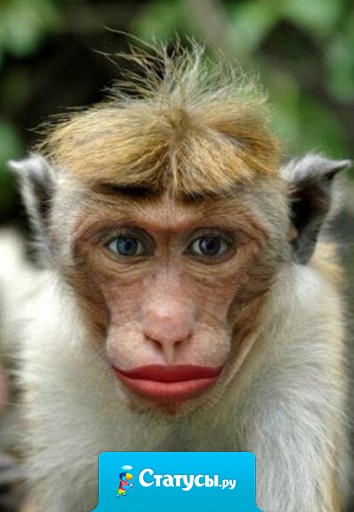 Хочу такие сиськи, чтоб вообще не краситься!