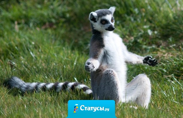 Только сев на пол в позе лотоса и расслабившись  понимаешь простые вещи. Надо помыть пол под шкафом  и вон куда делась зарядка от телефона