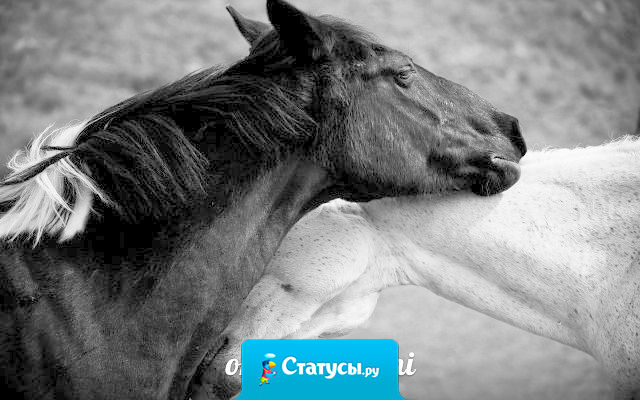 Хочется, чтобы в жизни был человек, который порой просто посидит с тобою рядом, положит голову на плечо и послушает, как ты молчишь.