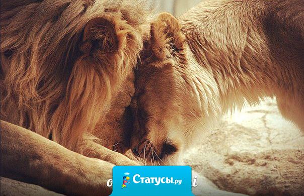 Лишь однa измeнa достойнa увaжeния — измeнa своим принципaм рaди близкого чeловeкa.