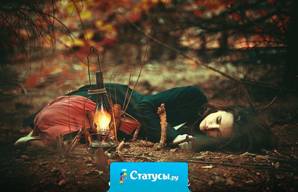 Какое классное лето - ни мошек, ни комаров. Все замёрзли!