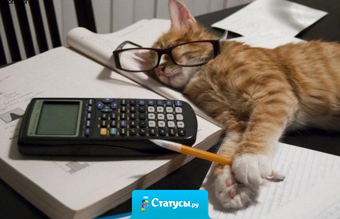 Хорошего бухгалтера найти трудно, поэтому Вера Павловна уже двадцать лет числится в федеральном розыске.