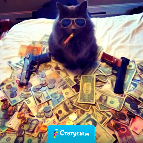 Понимаю, что деньги — зло, и всё равно, не могу я на них долго злиться. Видно, сердце у меня отходчивое.