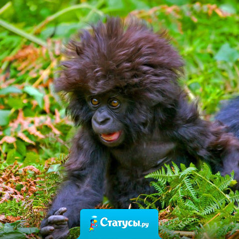 Укладка Феном держится пару часов а укладка 