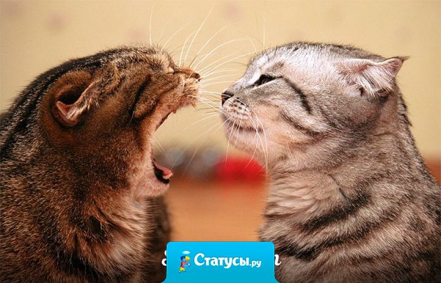 Экзамен хорошего воспитания мужчины и женщины — их поведение во время ссоры.