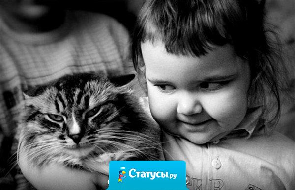 Когда мой кот косячит, я не ругаю его. Я просто отношу его сестрам, которым 4 и 2 года