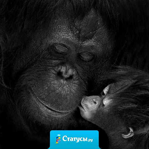 Кого из детей я больше люблю?! Того, что болен, пока не вылечится!  Того, кто вышел, пока не вернется!  Маленького, пока не вырос, и всех пока я не умру