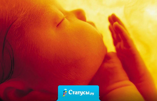 Я мамин Пузожитель, Я в пузике живу! Я мамочкой питаюсь, Я мамочкой дышу. Я с мамочкой гуляю, И с нею же смеюсь. И папочку встречая - Ужасно веселюсь! Расту я быстро очень. Кручусь себе, верчусь. И бодрствую ночью, А днем я спать хочу. От всяких химикатов Меня слегка тошнит, Поэтому мы с мамой Откажемся от них. Мы с мамой очень дружно в любви, в тепле живем. Я - мамин Пузожитель! А мамочка — мой Дом!