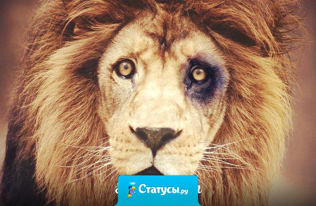 Бойкот женщины невозможен в принципе - как только вы перестаете с ней разговаривать, она решает, что вы начали ее слушать.