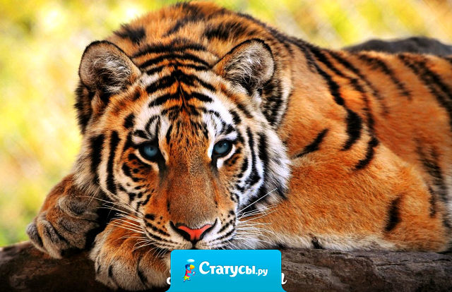 Почему я грущу по тем людям, для которых я никто?