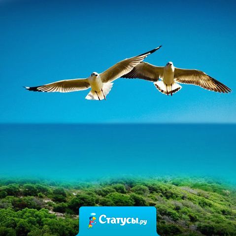 Так хочу быть чайкой - лететь на встречу ветру  и cрать на все и срать на все!