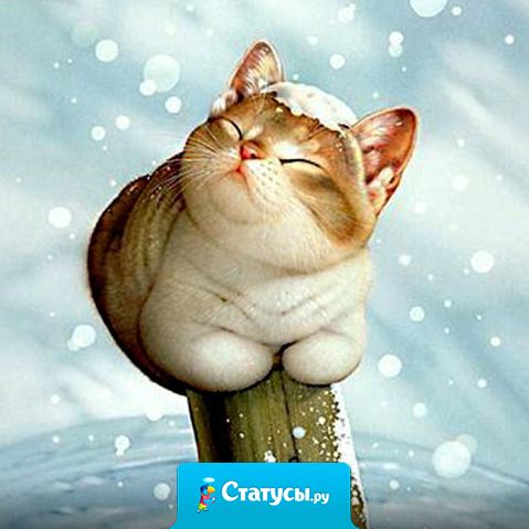 Снег кружи-и-ится, лета-а-ает, лета-а-ает... ему пофиг, что апрель наступает!