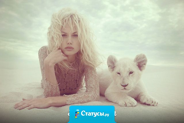 Кошки и женщины всегда делают, что хотят. Собакам и мужчинам пора бы уже привыкнуть.