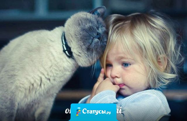 Женственность - это не только платье, каблуки, ухоженные волосы или накрашенные ногти. Женственность - это доброе, нежное сердце. Женственность - это любовь и забота ко всему живому. Женственность - это дар от Бога...