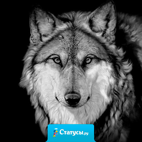 Хочу каменное сердце, чтобы не чувствовать ни обиду, ни боль, ни разочарований.