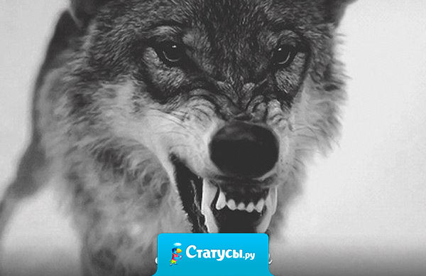 Не спеши мстить сам - посмотри, как красиво это сделает жизнь!