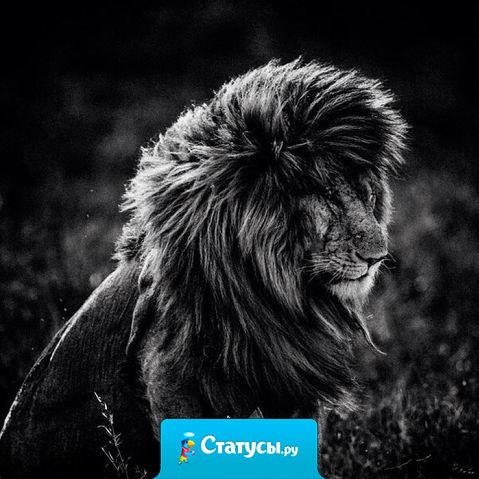 Как же вас много, с фальшивыми глазами и гнилой душой.