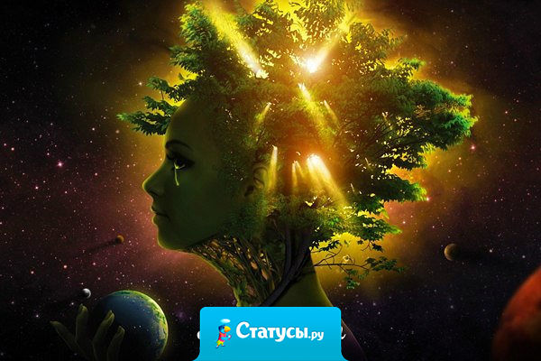 Человек никогда не должен стыдиться признаваться в своих ошибках. Ибо, признаваясь в них, он признаётся в том, что сегодня он мудрее, чем был вчера.