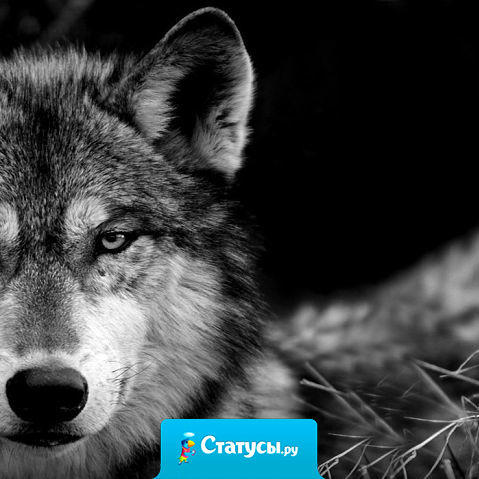 Больно не когда тебе лгут, а когда ты это видишь.