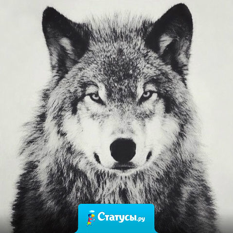 Порой мы слишком дорого платим за свой отвратительный характер.