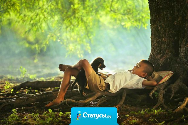 Когда тебе плохо – прислушайся к природе. Тишина мира успокаивает лучше, чем миллионы ненужных слов.