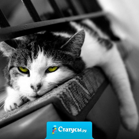 Лень - это киллер Вашего успеха.