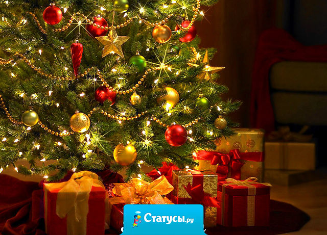 Скоро Новый Год. Не забудьте выбросить мусор из ведра, из головы и из жизни!