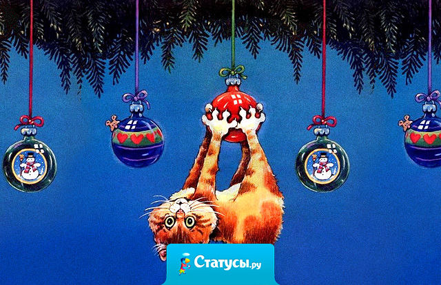 Новогоднее настроение такое, хоть ёлку наряжай, хоть на гирлянде вешайся