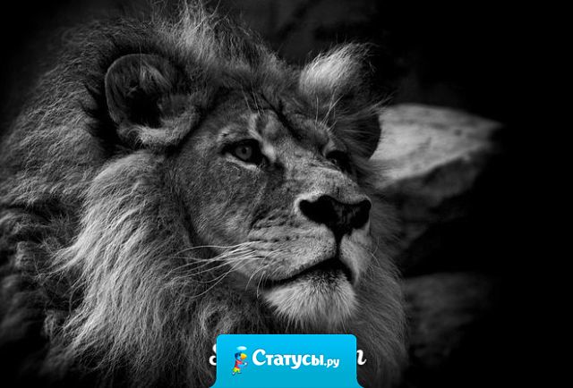 Позвольте себе роскошь не общаться с неприятными людьми.