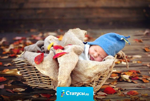 Только мама носит нас всю жизнь! 9 месяцев в животе, до 3-х лет на руках и всю жизнь в своем сердце!