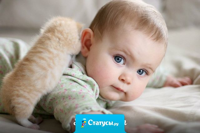 Мы дарим детям жизнь, они дарят нам ее смысл.