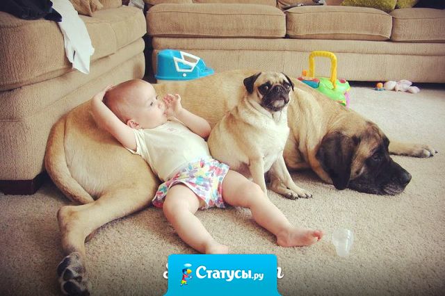 Мама с папой так скучали, так грустили в тишине. Но исчезли все печали, стоило родиться мне!