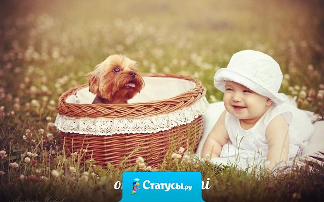 Внимание, родители! Ваш ребенок повзрослел, если на вопрос: 