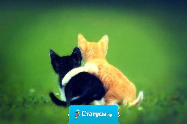 Помириться первому - это не унижение, а лучшая черта человека.