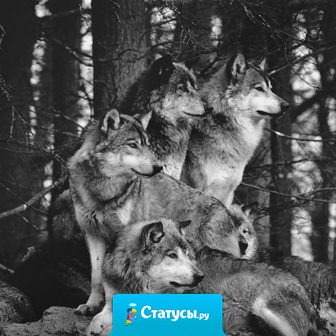 Иногда даже самым лучшим друзьям ты становишься не нужен, потому что в их жизни случается что-то более важное, чем дружба.