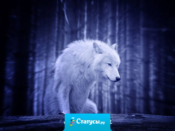 Люди слишком быстро находят тебе замену, вроде вчера ты казался нужным, а сегодня уже нет.