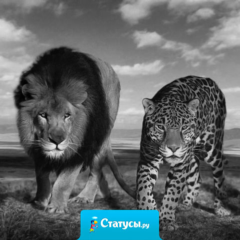 Если тебе плохо - приходи! Если тебе скучно -позвони! Хочешь ты напиться - я приду. Хочешь поделиться - я пойму. Только не закройся ты в своей беде, просто набери мне. И спроси : 