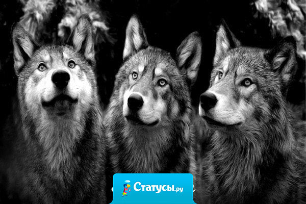 Лучше найти верных друзей с пустыми карманами,чем фальшивых с деньгами.