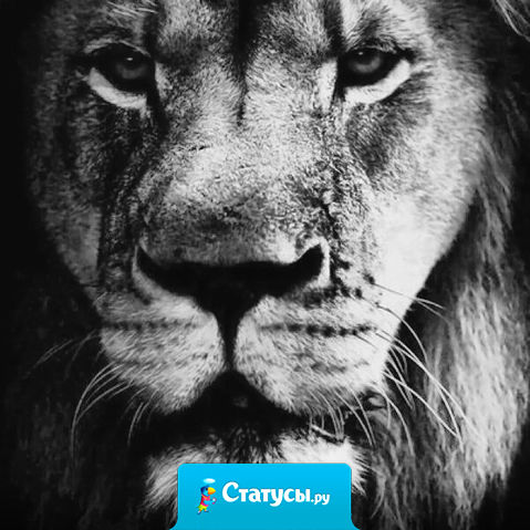 Уйди в тишину и ты увидишь, кому ты нужен.