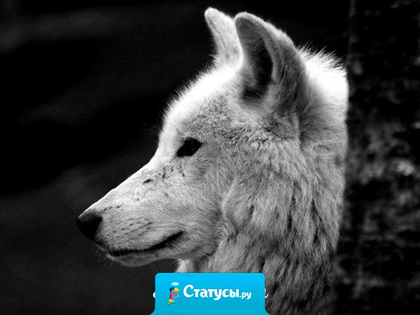 Отказавшись от меня однажды, больше не лезьте в мою жизнь.