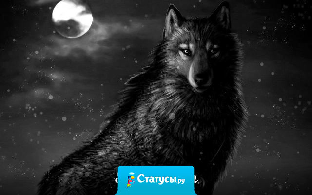 Об твою доброту вытирали ноги, над твоими чувствами только смеялись, твоя  искренность никому не нужна, а потом люди удивляются, что с тобой? Почему ты стал таким? Почему ты ко всему и ко всем охладел?