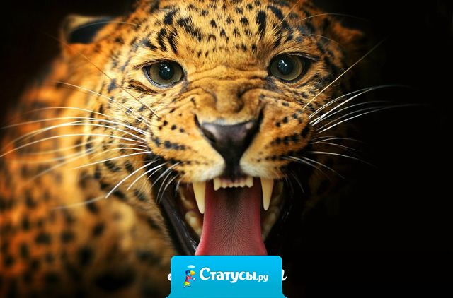 Мы так ошибаемся, когда опять начинаем  верить тем людям, которые нас предали.