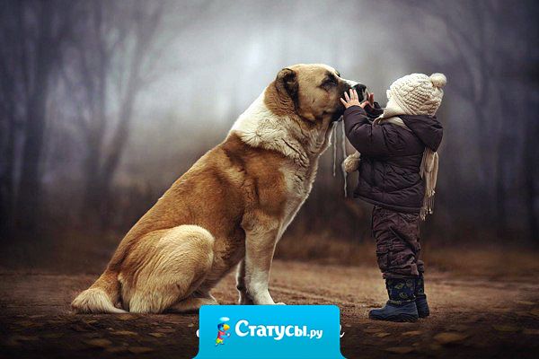 Друзьями остаются лишь те, кого с годами не съела зависть, кого не огорчило чужое счастье!