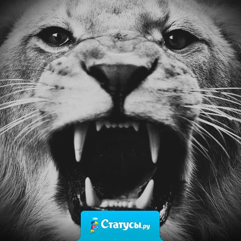 Я общаюсь только с теми людьми, кто мне по душе. Деньги, внешность, их характер для меня не имеют значения.