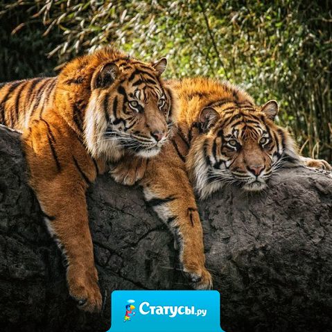 С каждым годом друзей становится все меньше.