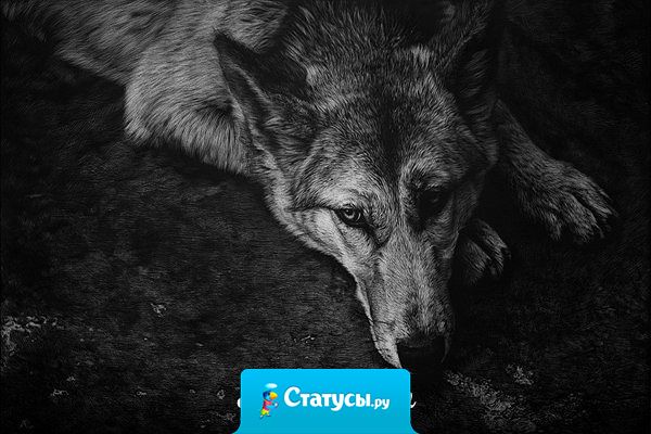 Друзья познаются в беде. И чем сложнее беда, тем точнее идёт сортировка.